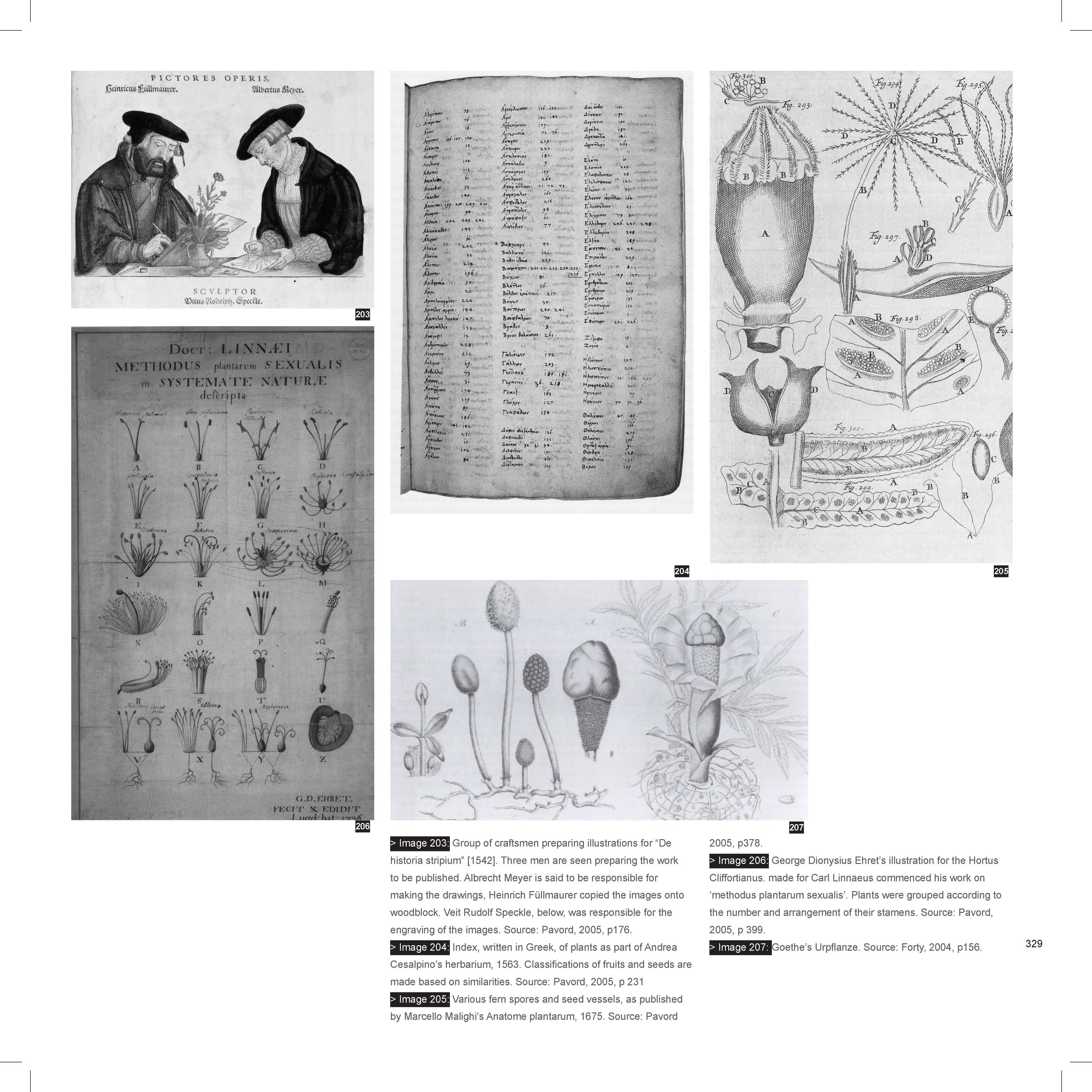 Pages from Bruyns 327 346.jpg