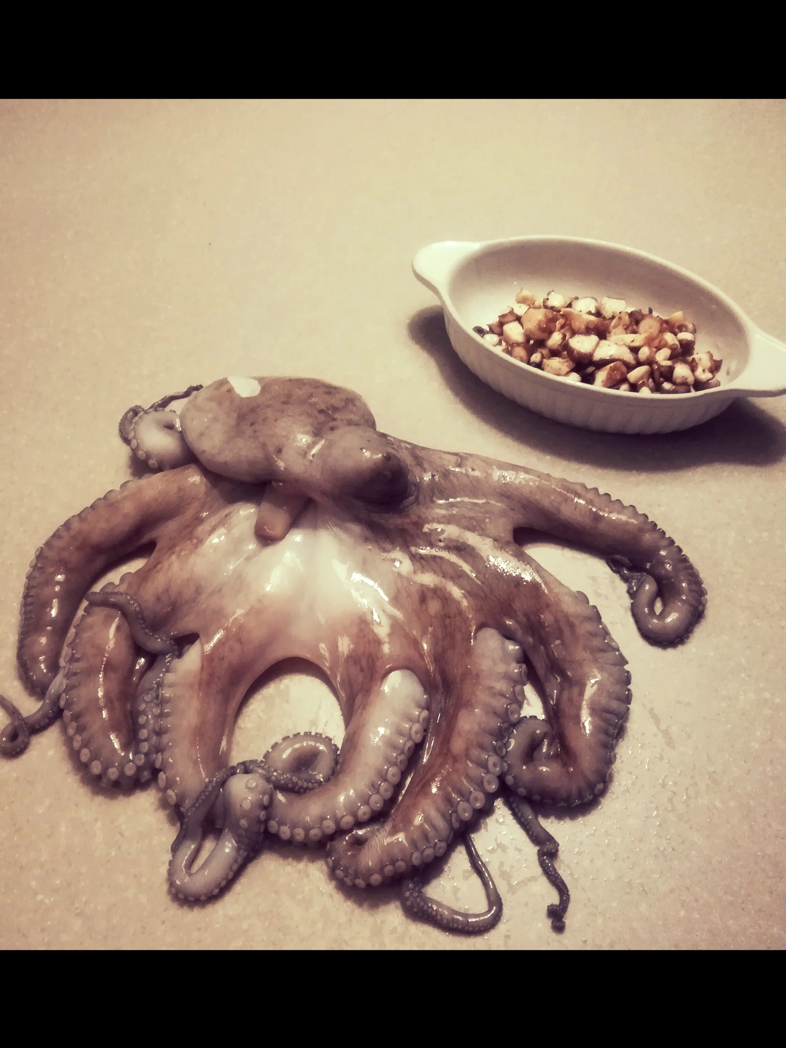 Octopus of polpo