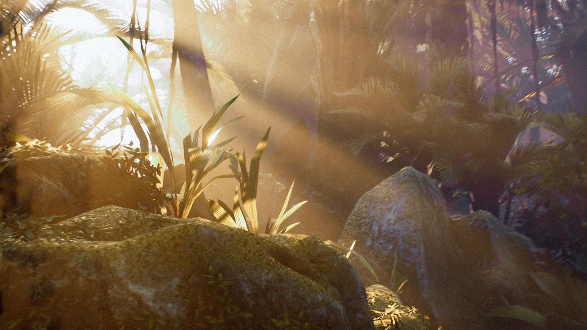Virtual forest world