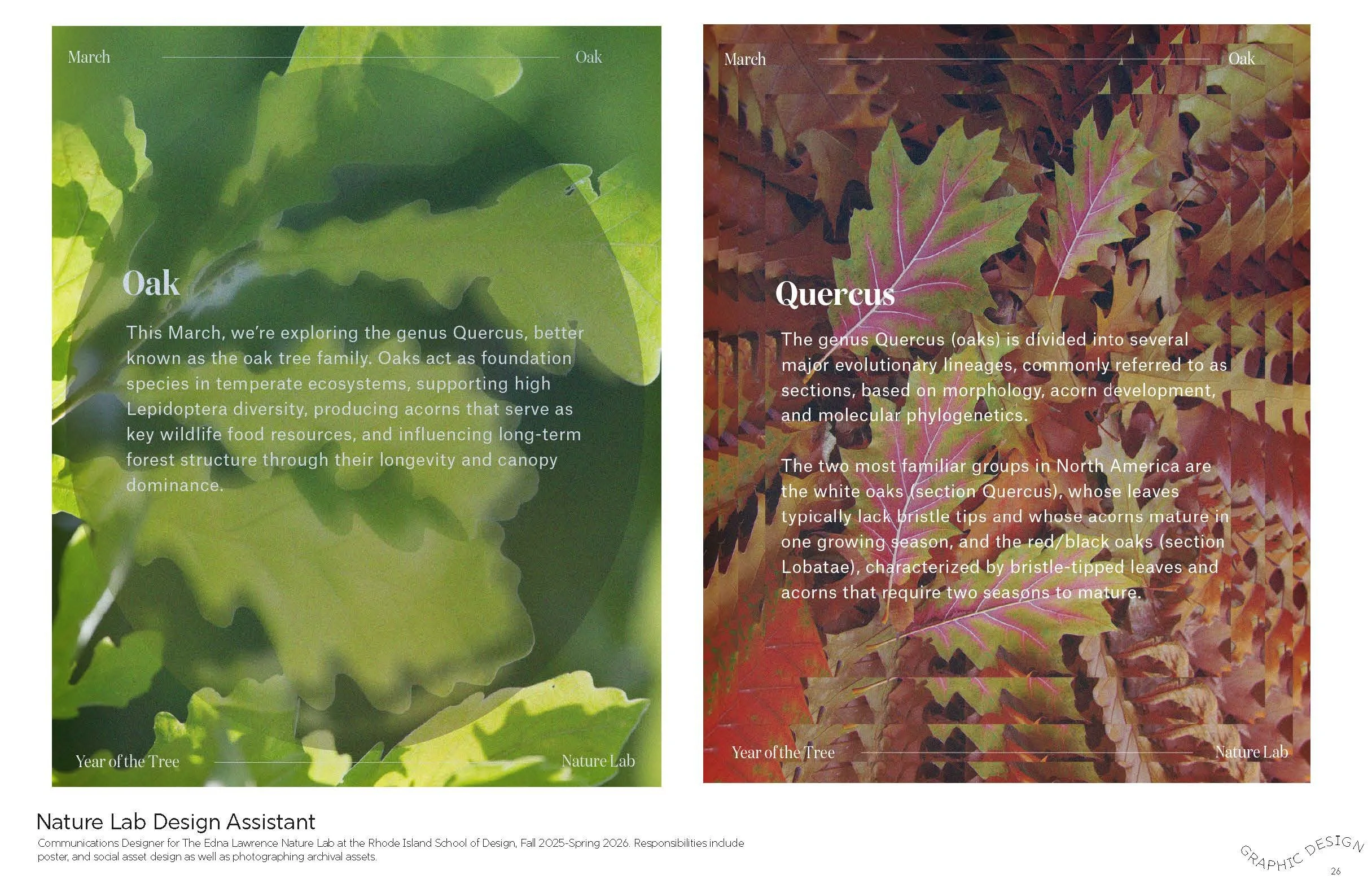 Design Portfolio_2026_Annatruus Bakker_Page_26.jpg