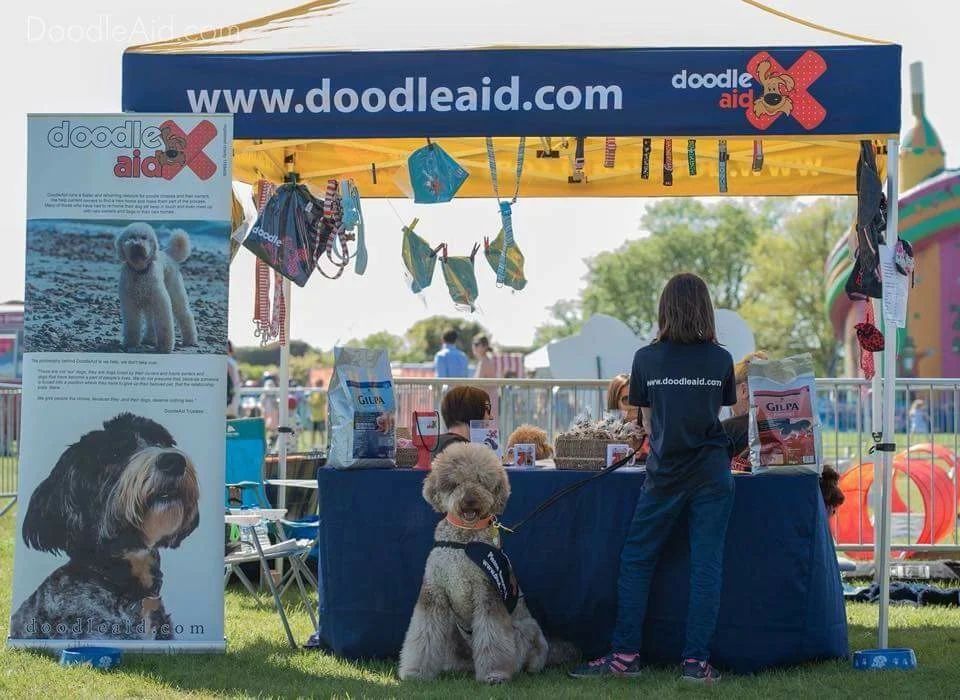 DoodleAid attends The Lord Mayor’s Rural and Seaside Show 2018
