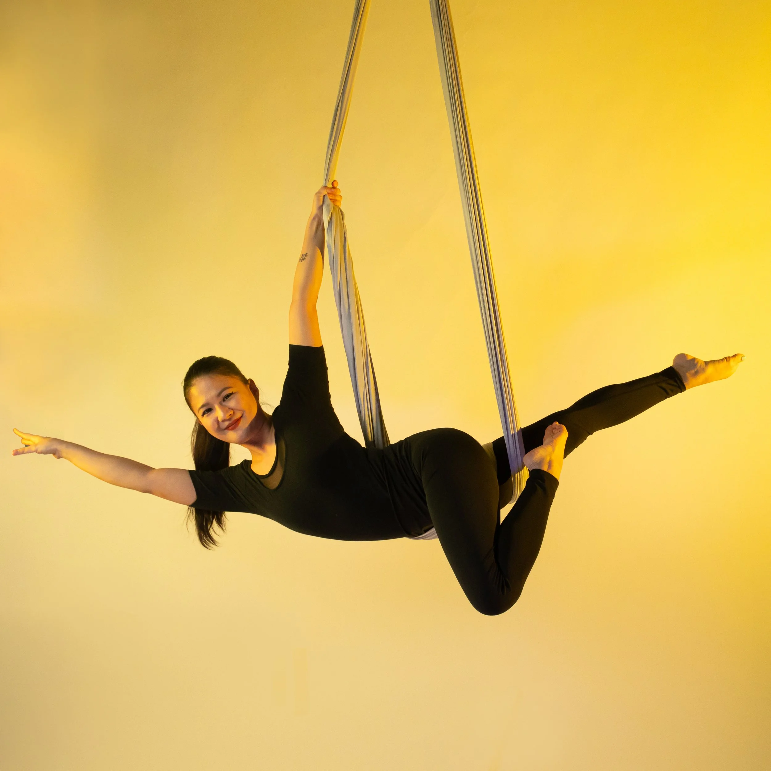 Intro to Aerial Hammock .jpg