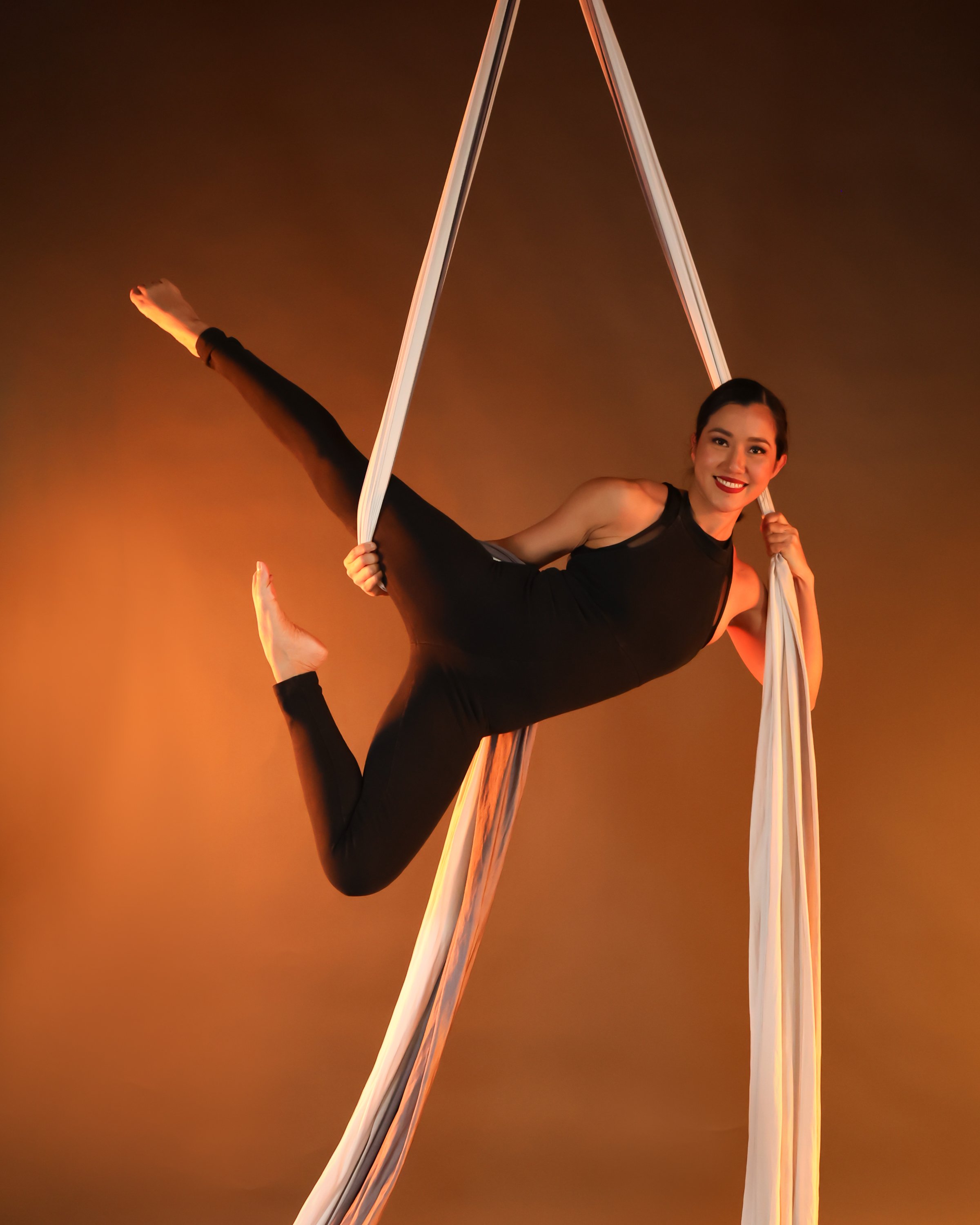 TERM Aerial Silks Intermediate.jpg