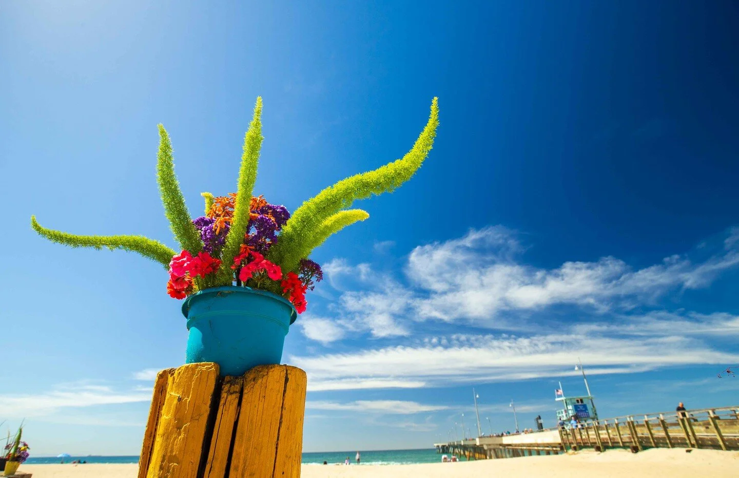 Photoshooting in Venice Beach Los Angeles USA for a  German RV Magazin you can read the Travel Story and see the photos next months.. i miss USA it's awesome....

#Kalifornien #Urlaub #Reise #Wohnmobil #Reportage #Fotografie #Californiadreaming #cali