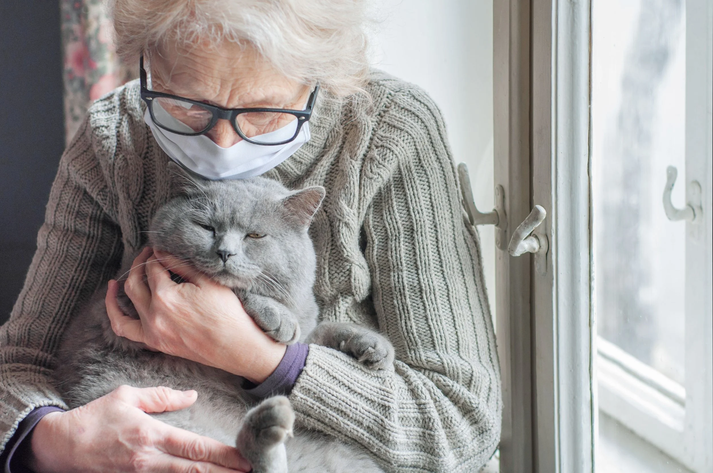 What is a Support Animal?