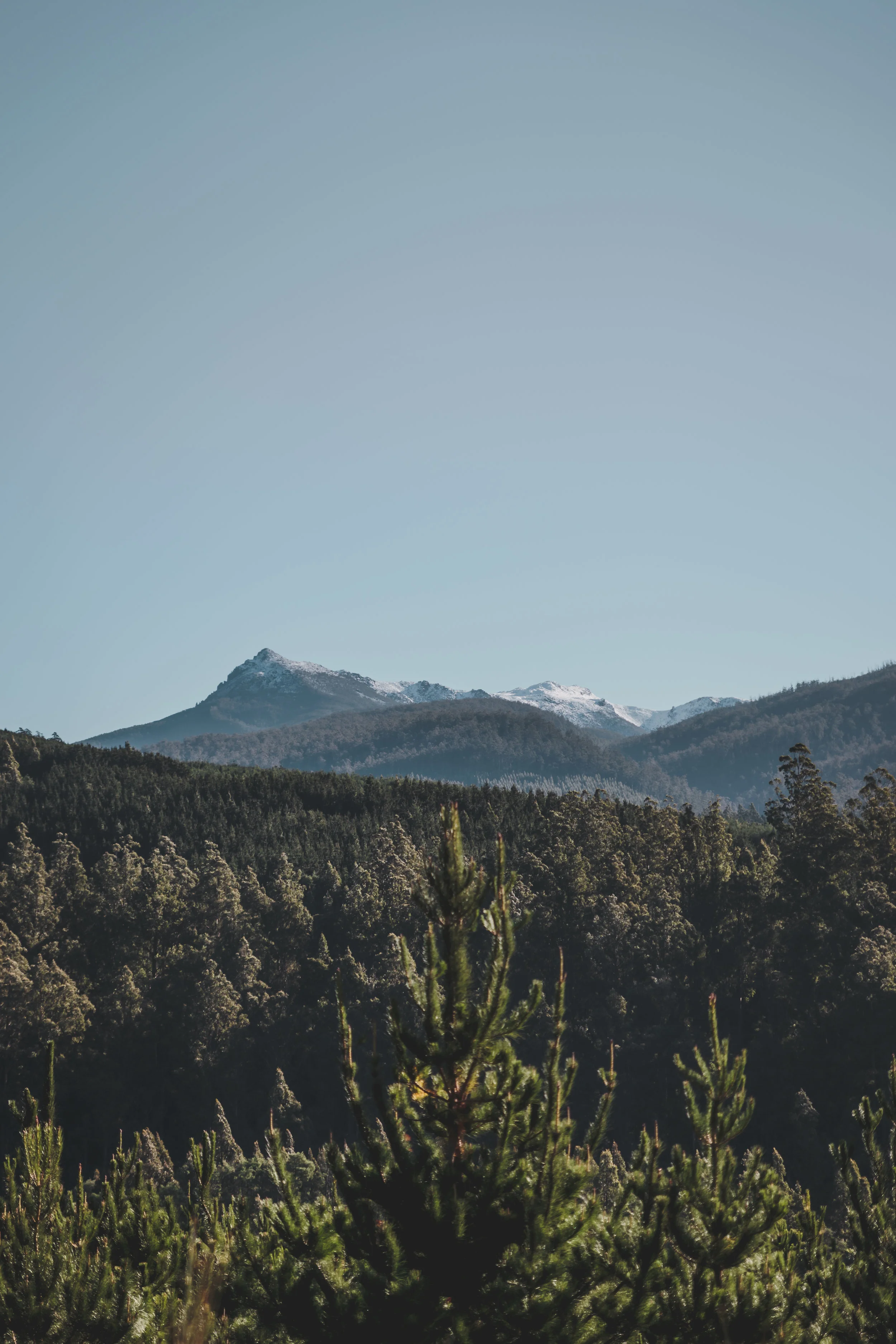 20180619-IMG_4997untitled shoot.jpg