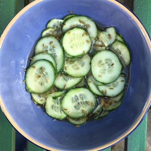 Pickled Cucumber- a delicious side dish, snack or salad, and so easy to make. From the delicious kitchen of @tanswestcoastkitchen 
Link in Bio.
#recipes #healthyfood #healthyrecipe #healthyrecipes #foodblog #yoga #fermentedfoods #guthealth #foodblogg