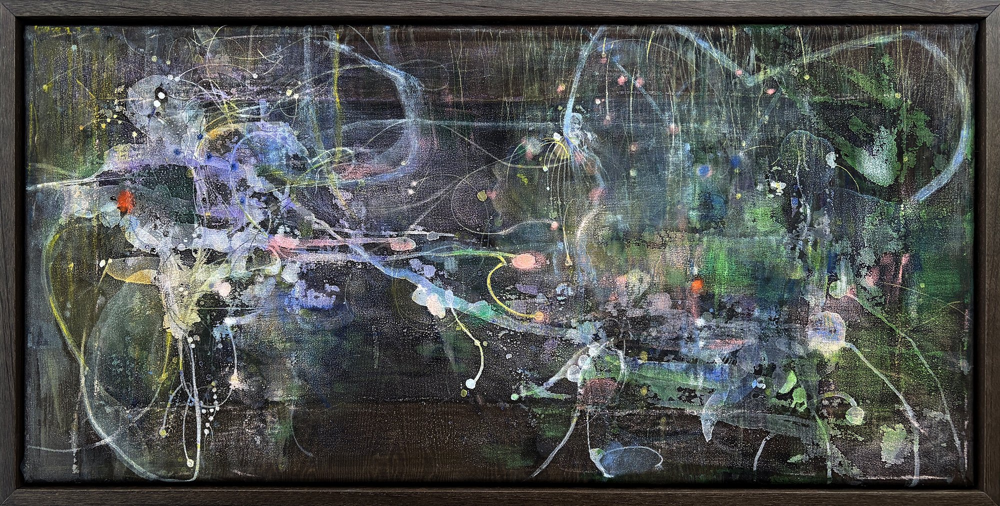 Nymphéas Noirs, 2024