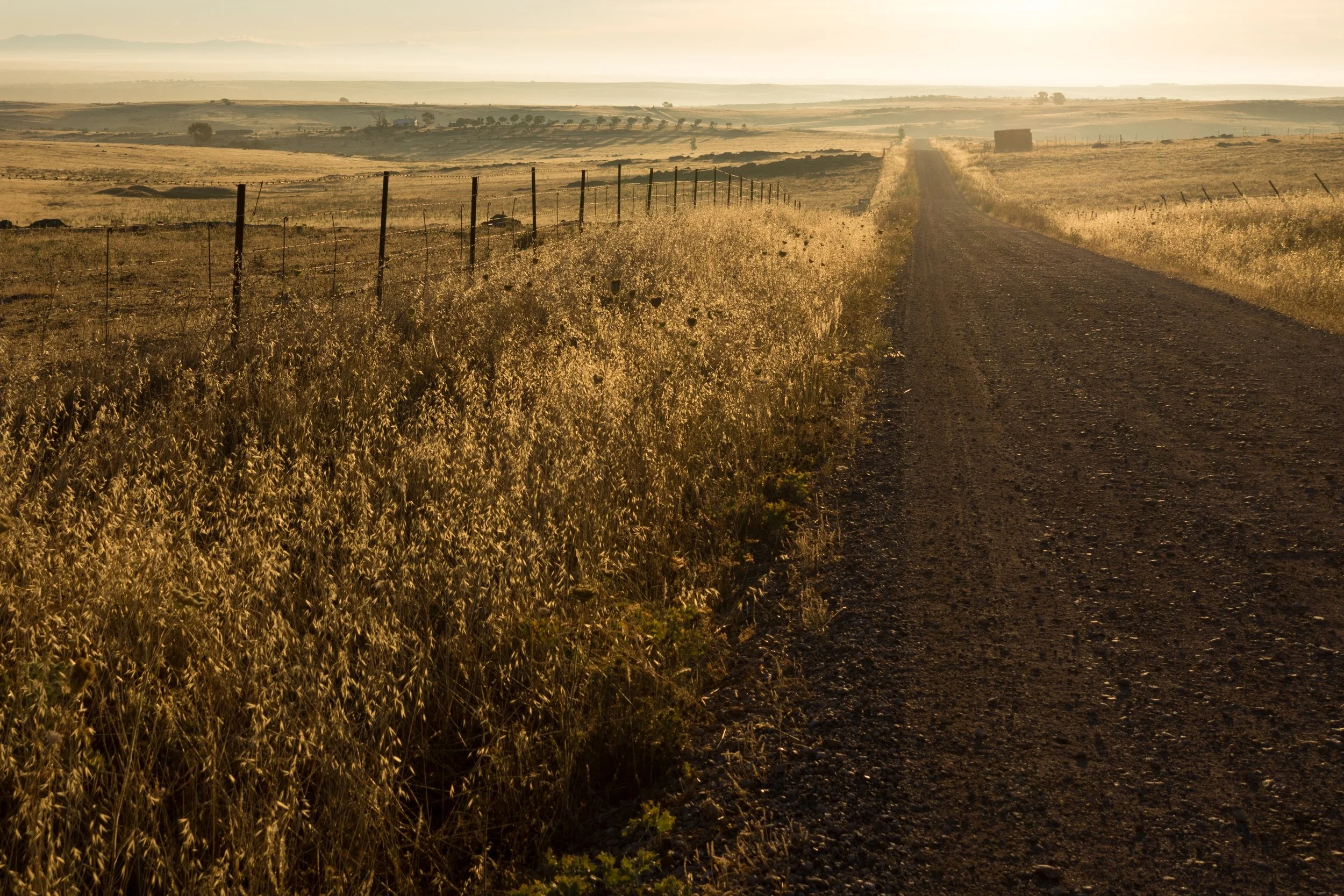 Country-dirt-road-South-Australia.jpg