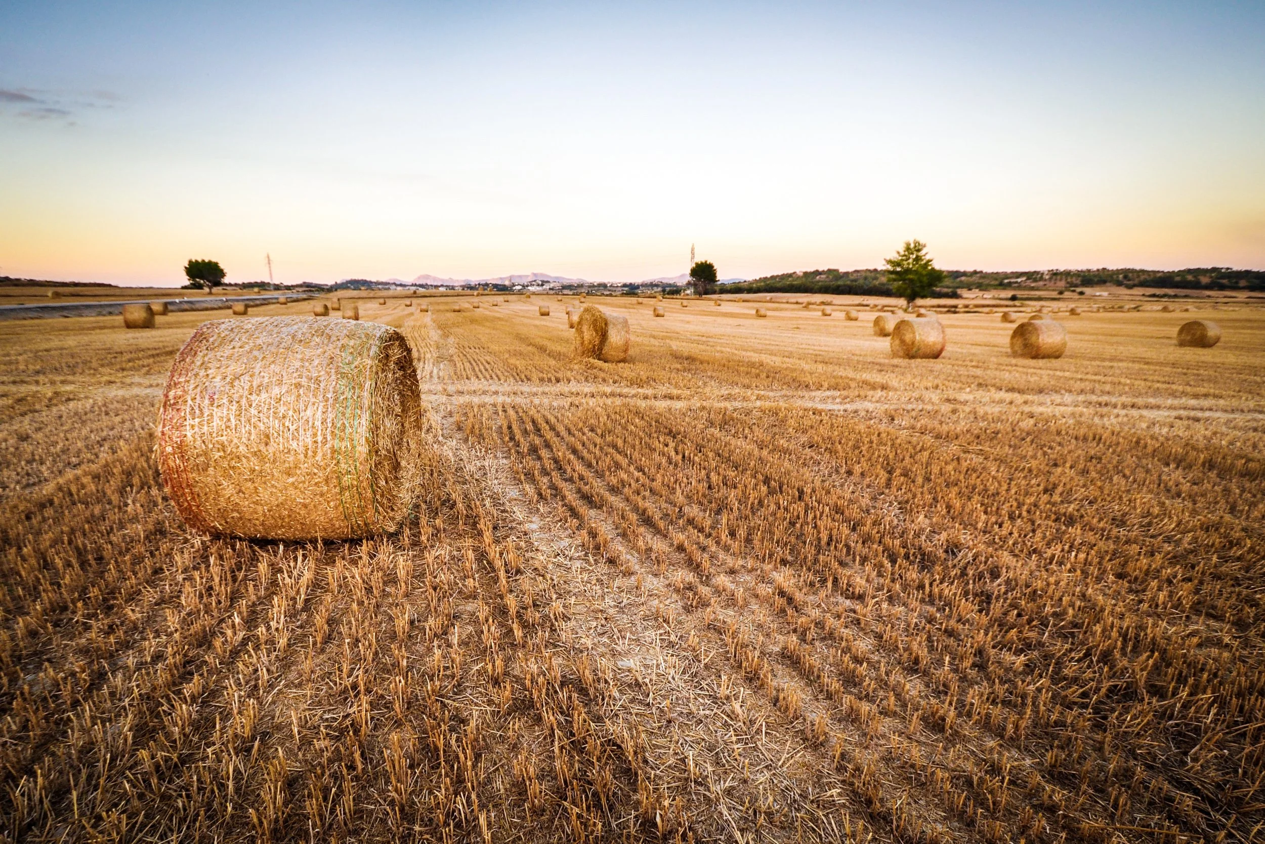 Hay-bale-Clare-South-Australia.jpg