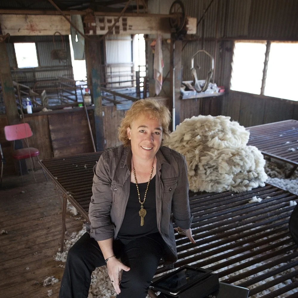 Linda-Eldredge-shearing-shed.jpg