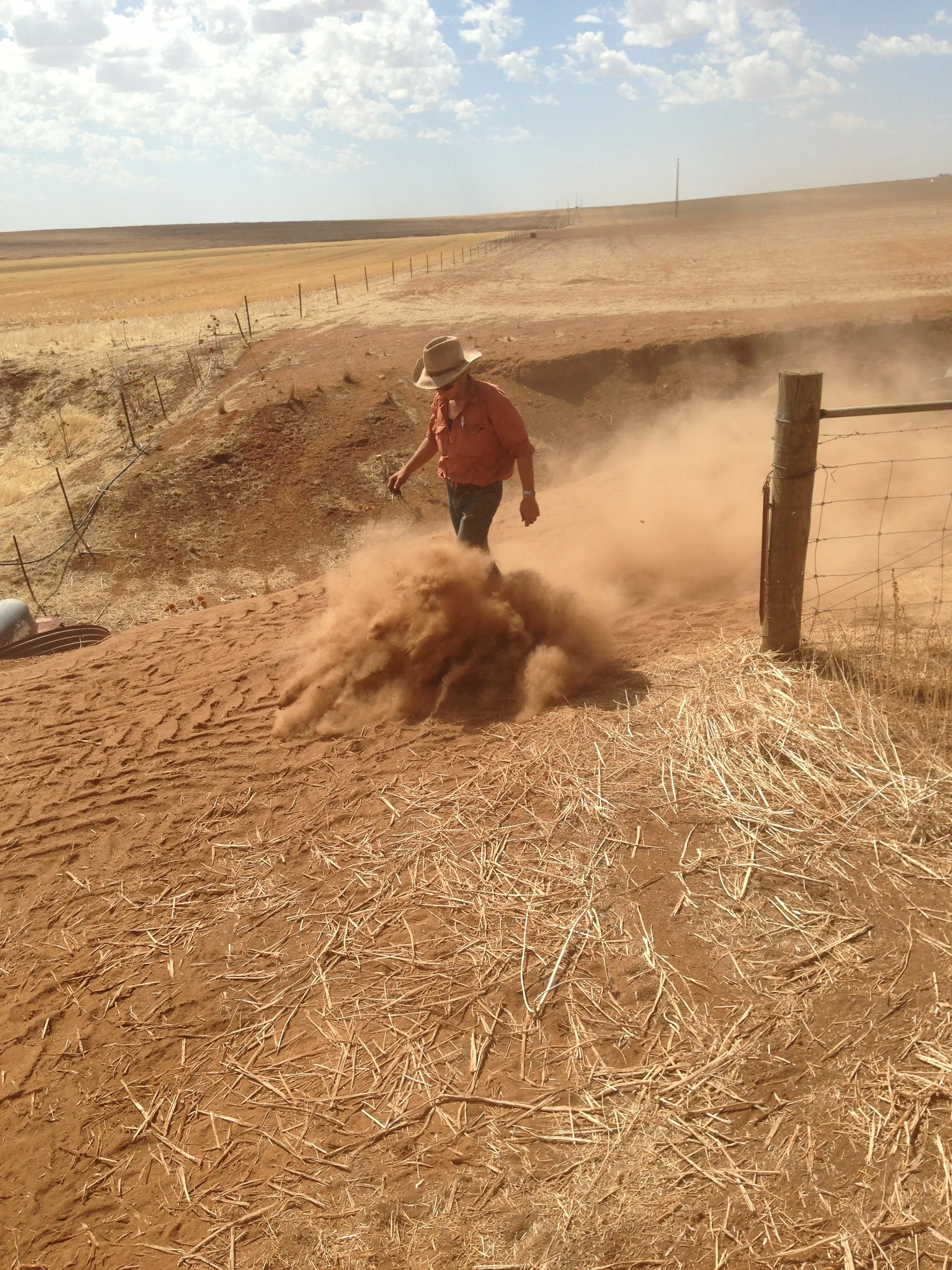 Bull-Dust-Clare-South-Australia