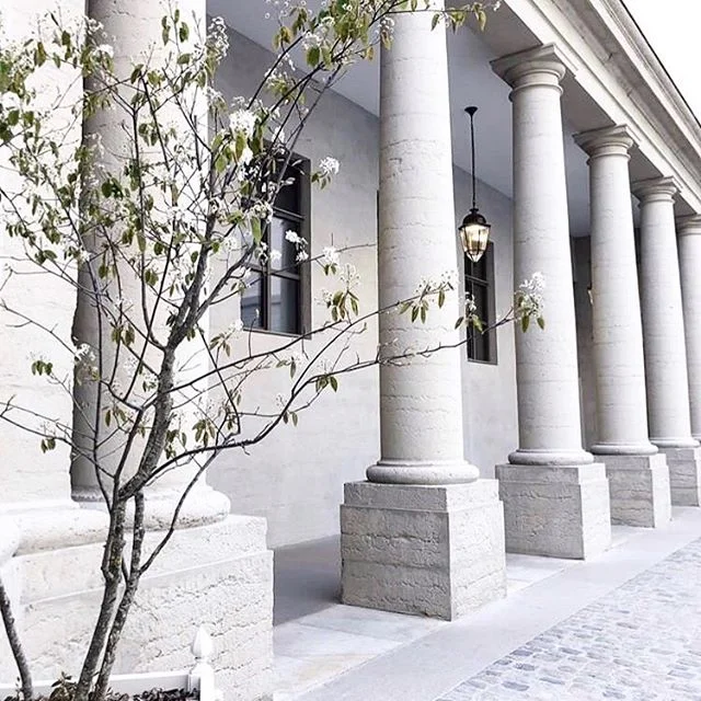 Le printemps est aussi arriv&eacute; a l&rsquo;h&ocirc;tel Dieu. 🌸✨
📸 : @sunset_blum .
.
.
#lyon #lyonnaise #lyonnais #monlyon #lyoncandoit #igerslyon #photography #photographylyon #bonbonlyon #spring #monlyon #lyon2 #printemps #flowers #hoteldieu 