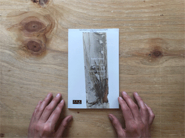 catalogue_low.gif