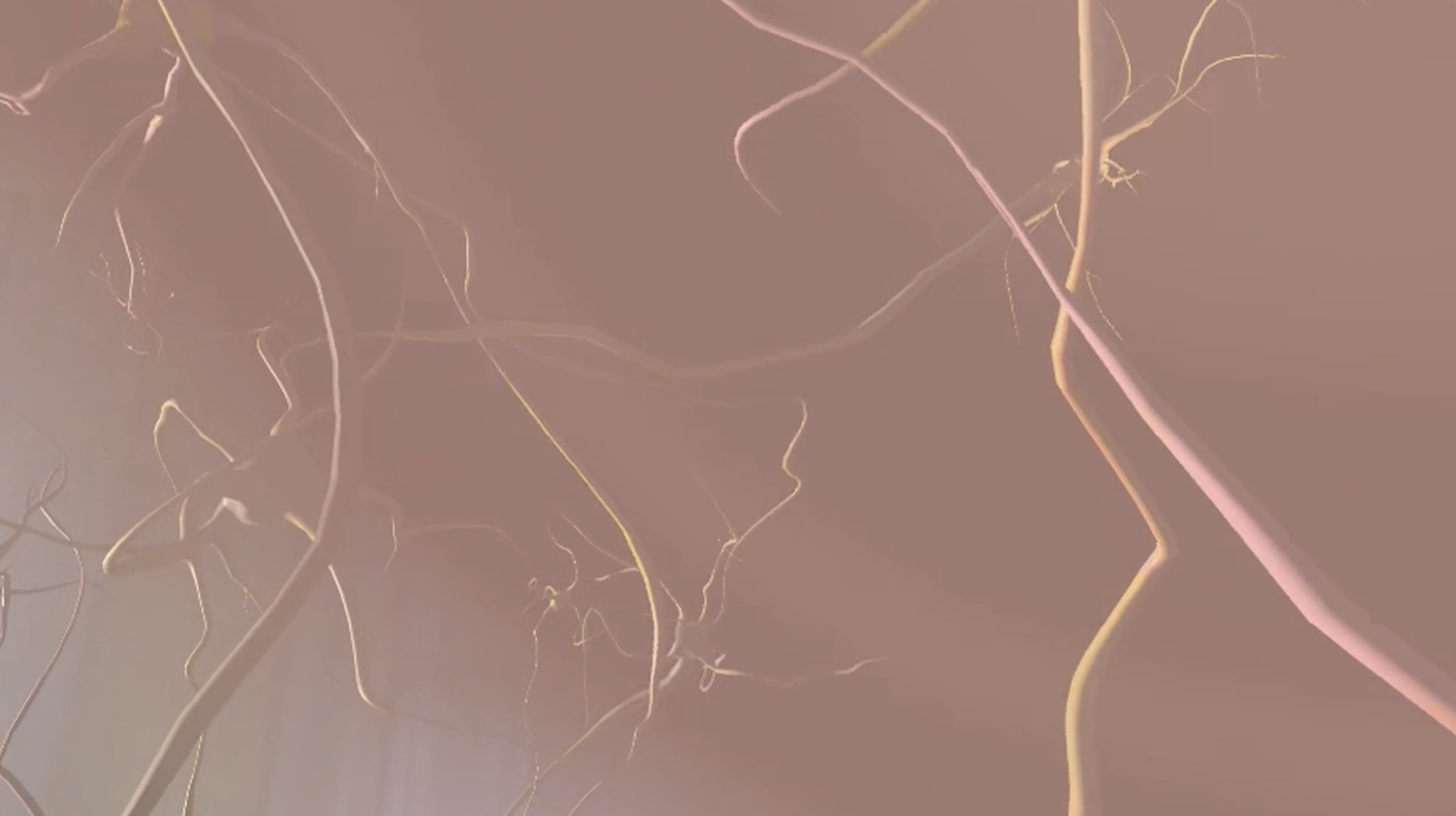  Still image  The Neurological Self  (in headset) Photo: Studio Sophie Erlund 