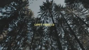 LUFFY VIBES 1.0 (Copy)