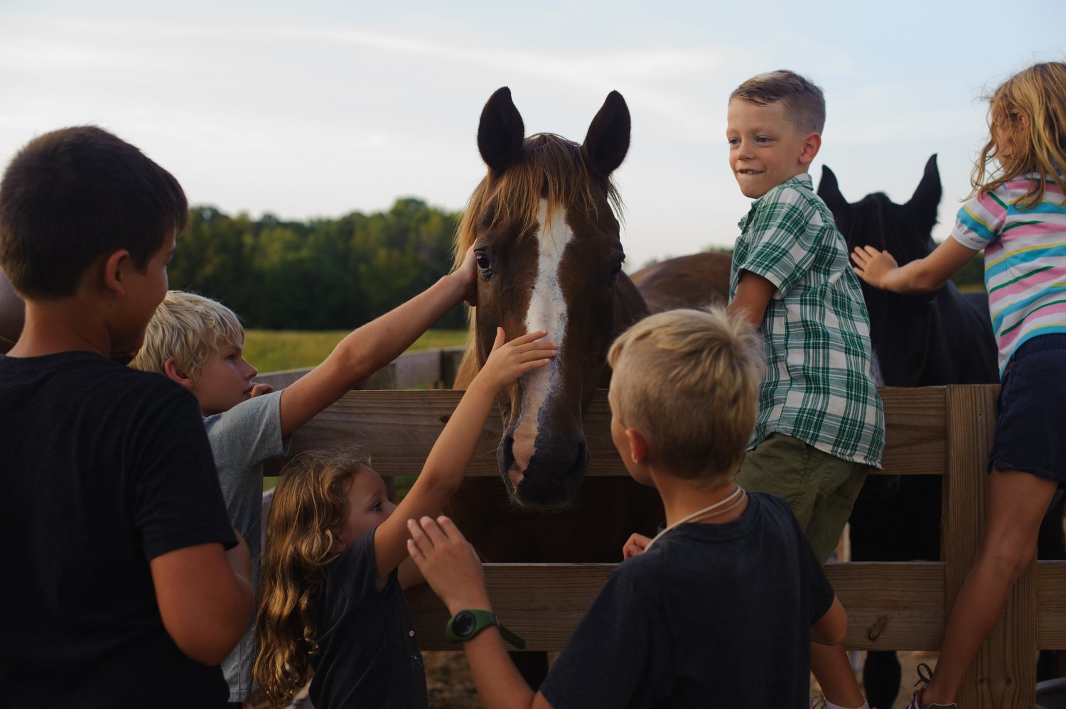 2023-08-26-Chatham Rabbits Farm Concert-Samuel Cooke-2876.JPG