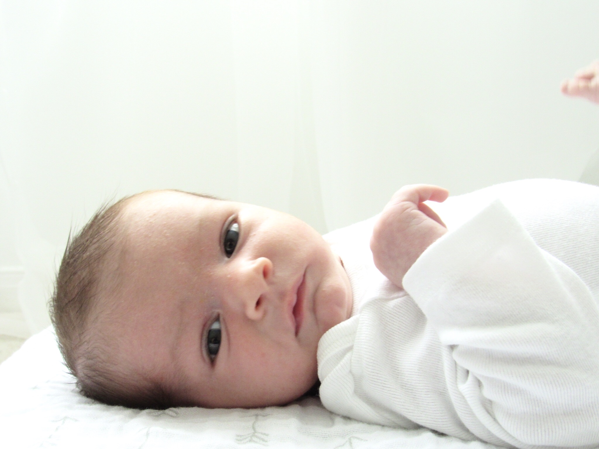 About one month old here