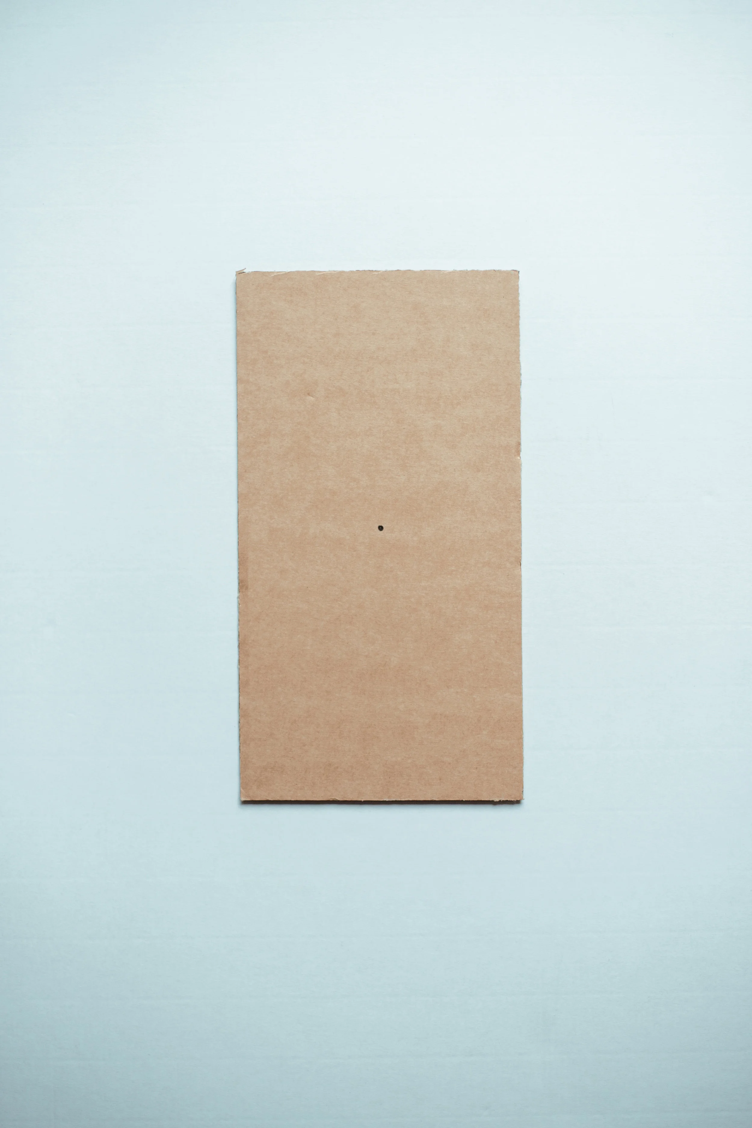 01 - cardboard 01.jpg