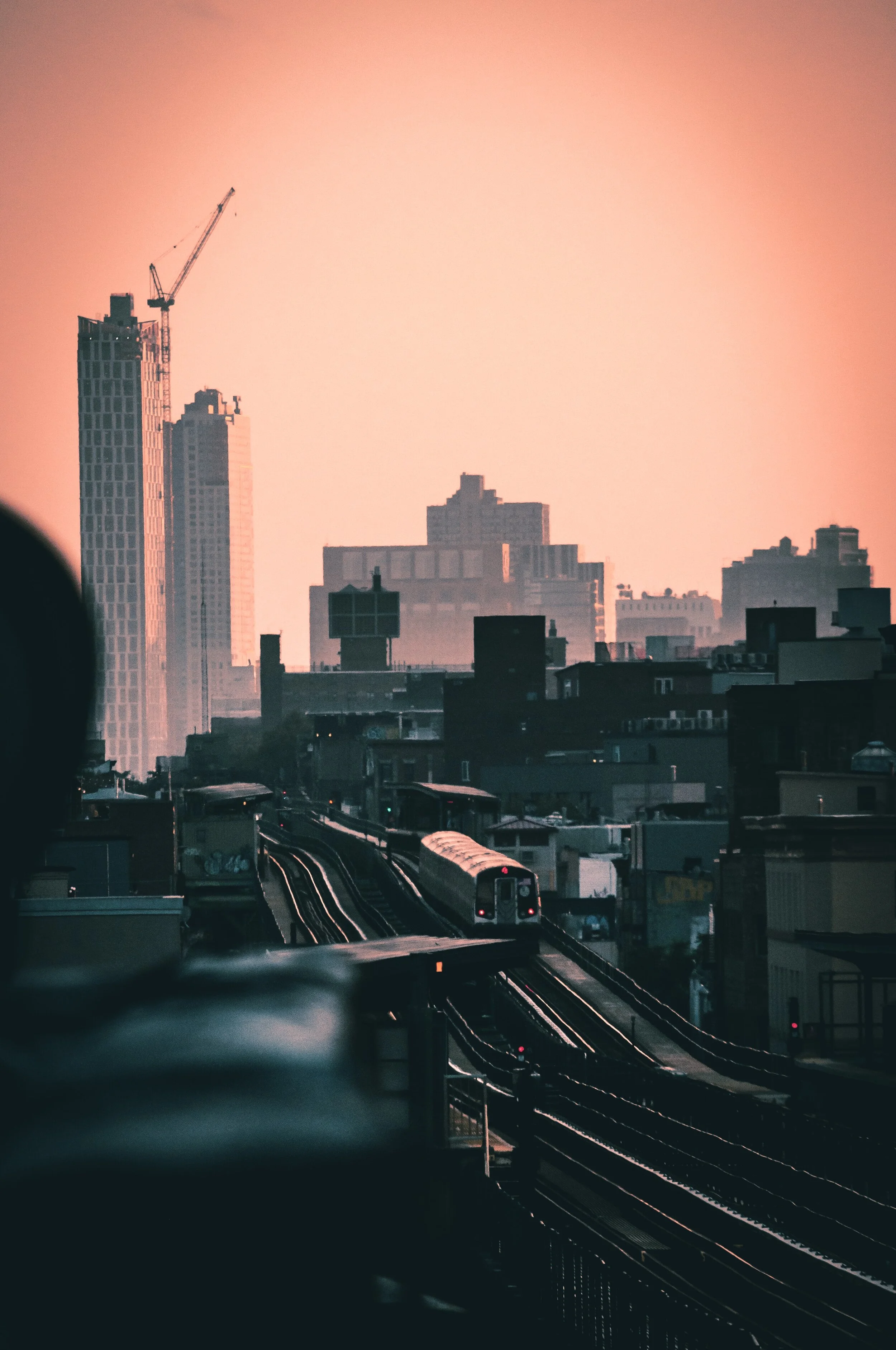 alex-simpson-e8kYjCQctr4-unsplash.jpg