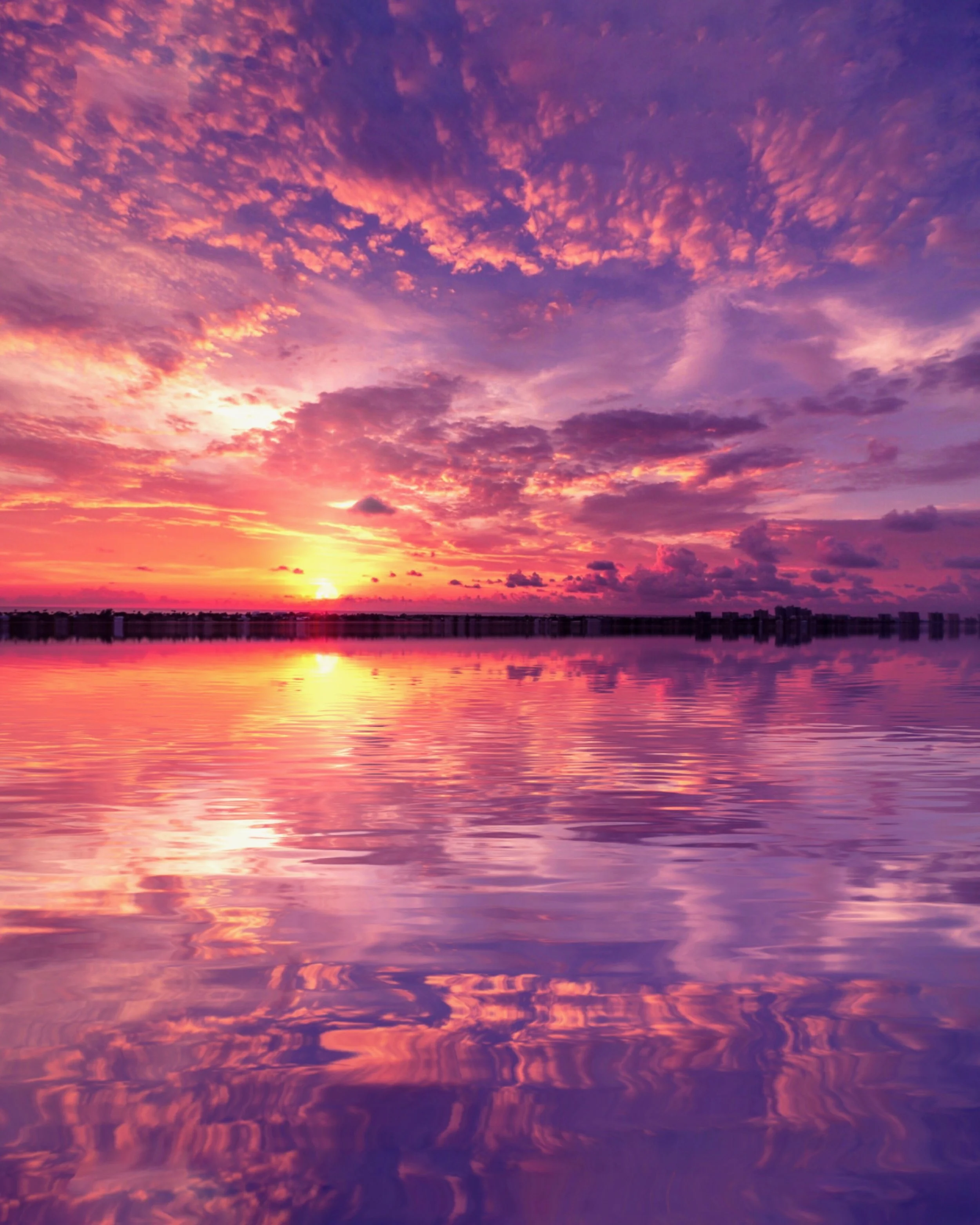 Purple Reflections