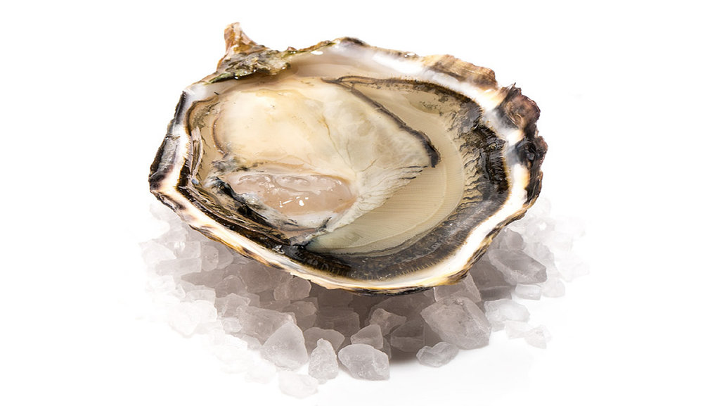 capital-oyster-meat.JPG