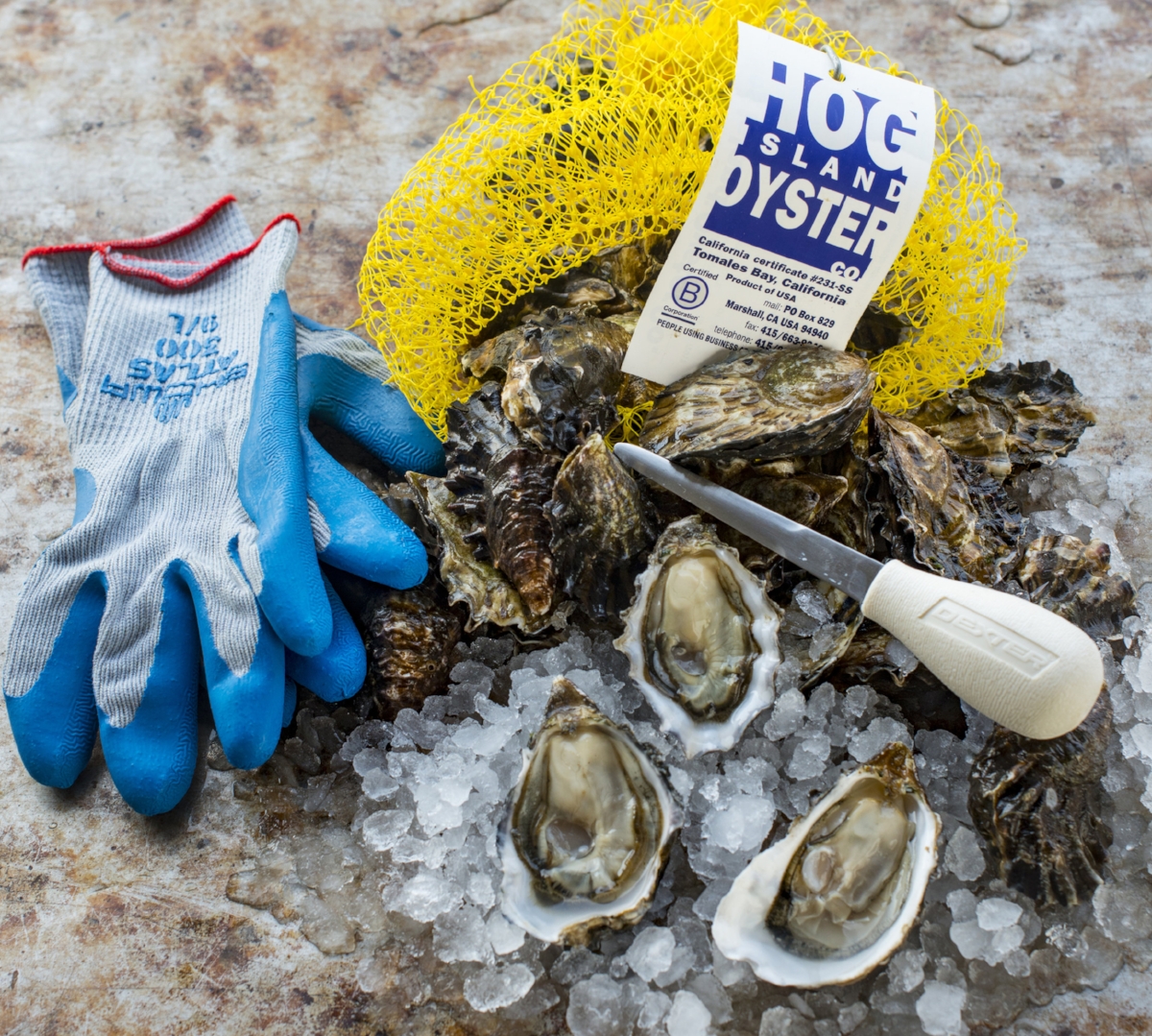 Beginner's Oyster Shucking Kit – Hog Island Oyster Co.