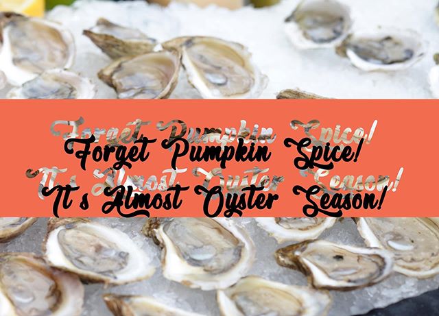 Forget the pumpkin 🎃, grab yourself some oysters for the season!

#sustainableoysterfarming #oysterweek #oyster #oystershucking #slurp #oystober