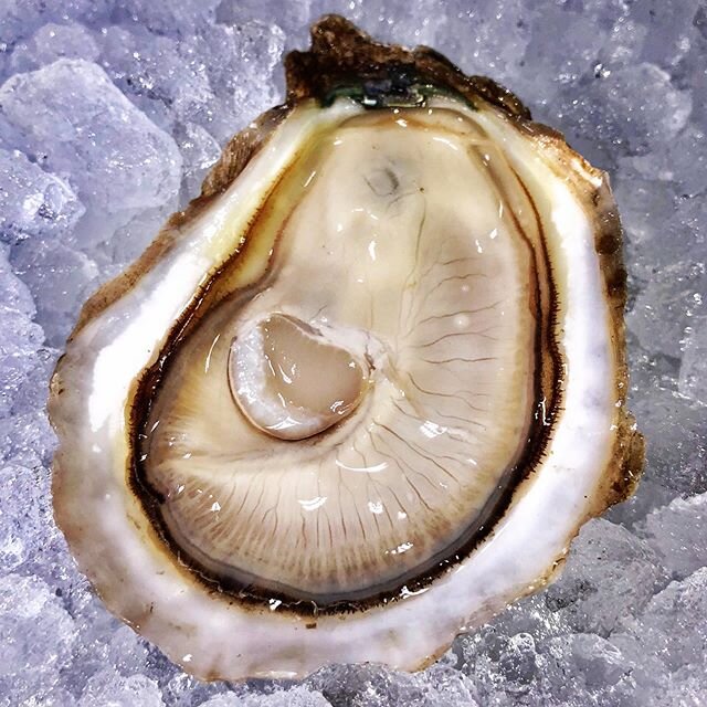 2020 is The Year of the Oyster! Here is why and how: Link in Bio. ISO Hamptons / Sag Harbor Restaurant operators looking to do something that really, truly, has NEVER been done out East, can be done now, should be done now and can be maintained as a 