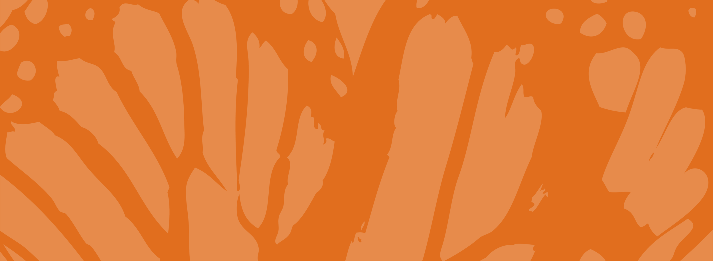 butterfly_orange_orange-22.png