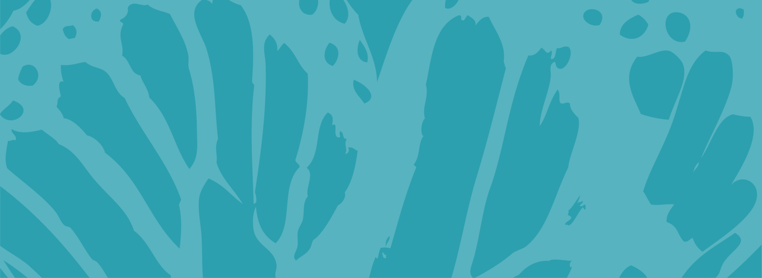 butterfly_turq_turq-22.png