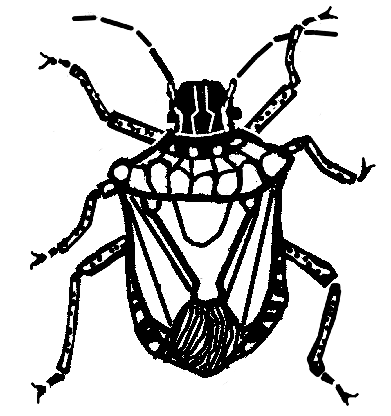 bug stamp 2.png