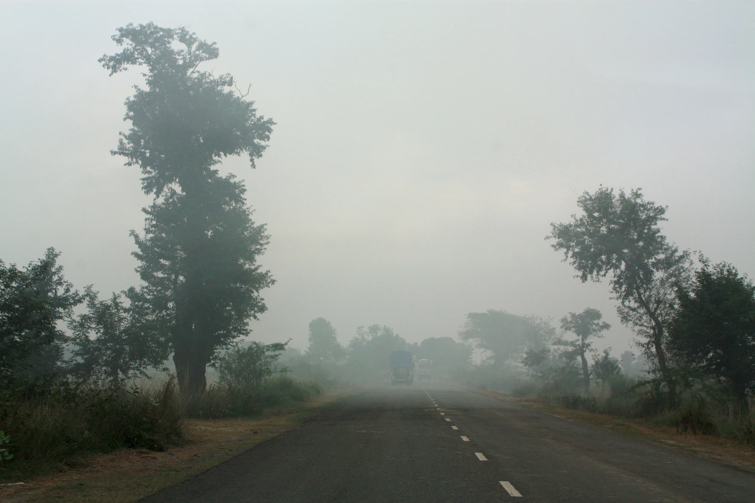GregoryThielkerRoadView.jpg