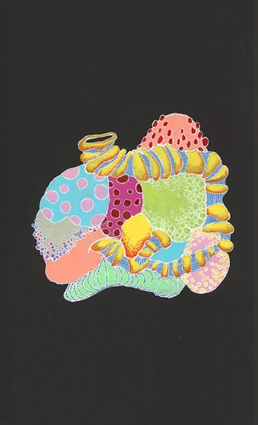 Anatomy Book, No. 5