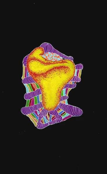 Anatomy Book, No. 17