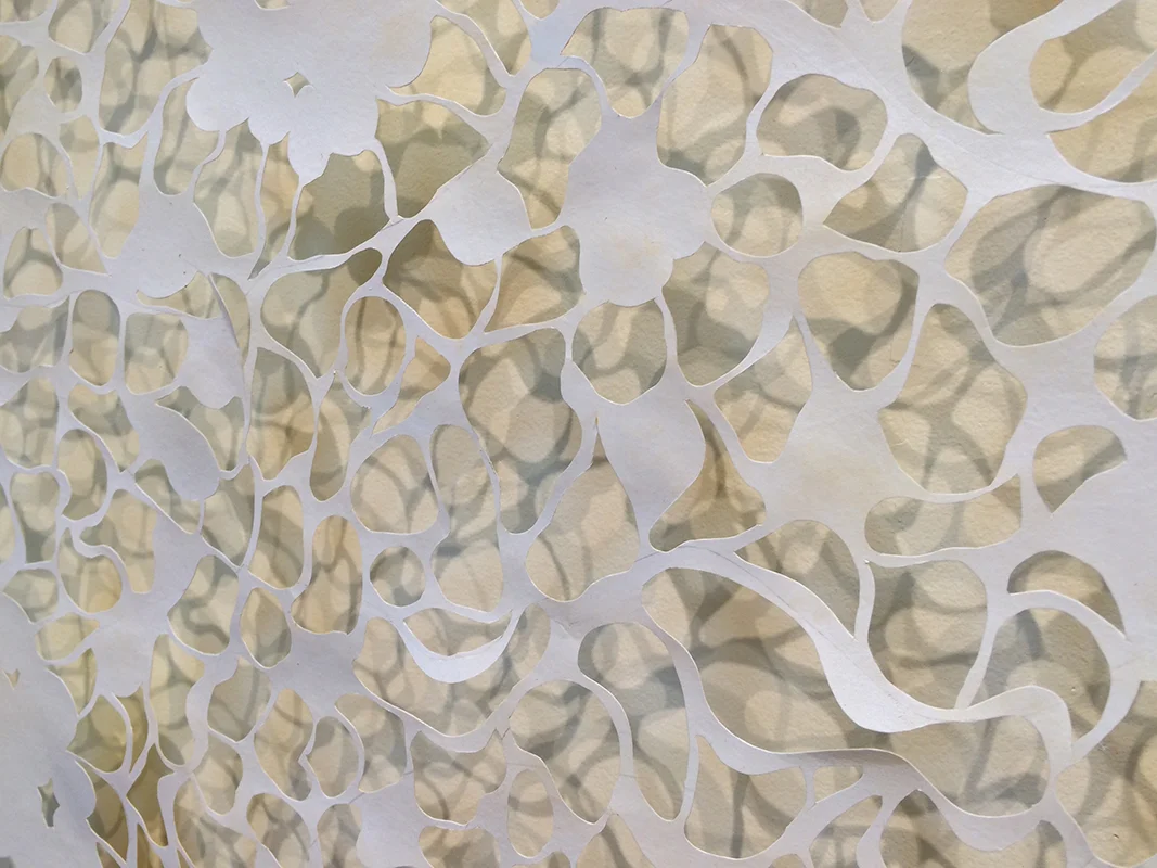 Visible Absence (detail)