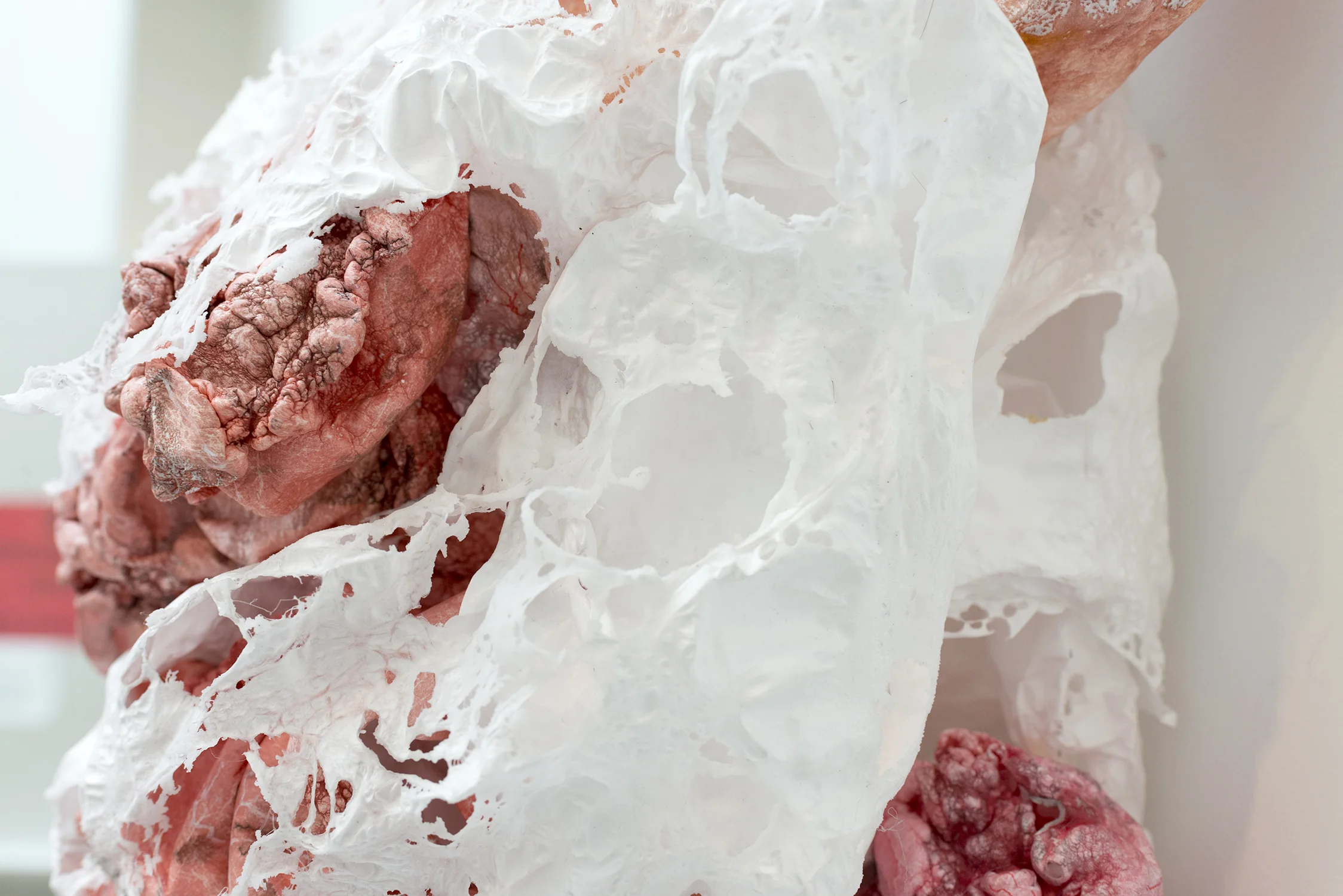 Flesh and Bone (detail)
