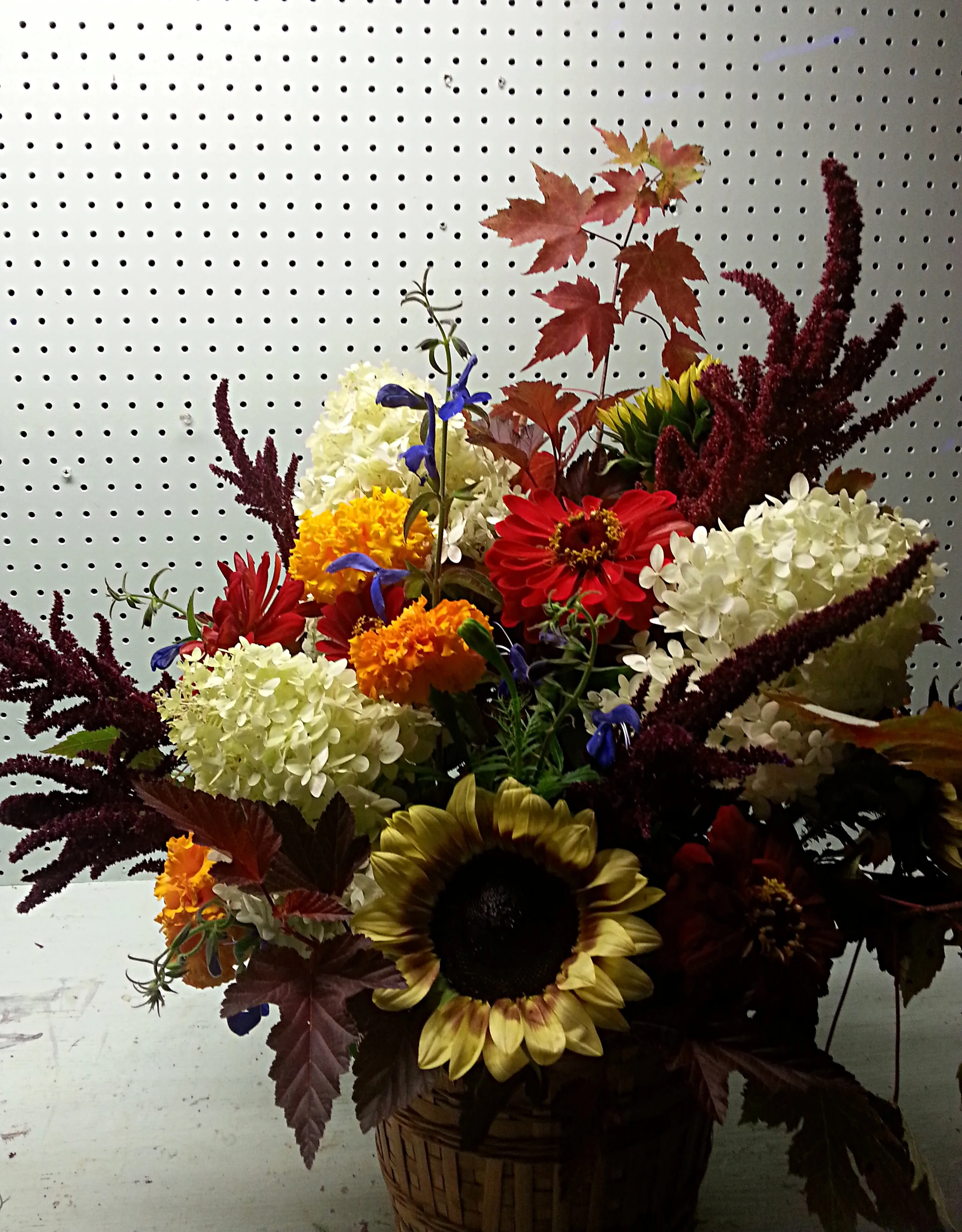 Sunflowers, Amaranthus, Zinnias, Dahlias, Marigolds, Salvia, Hydrangea, Viburnum, Maple
