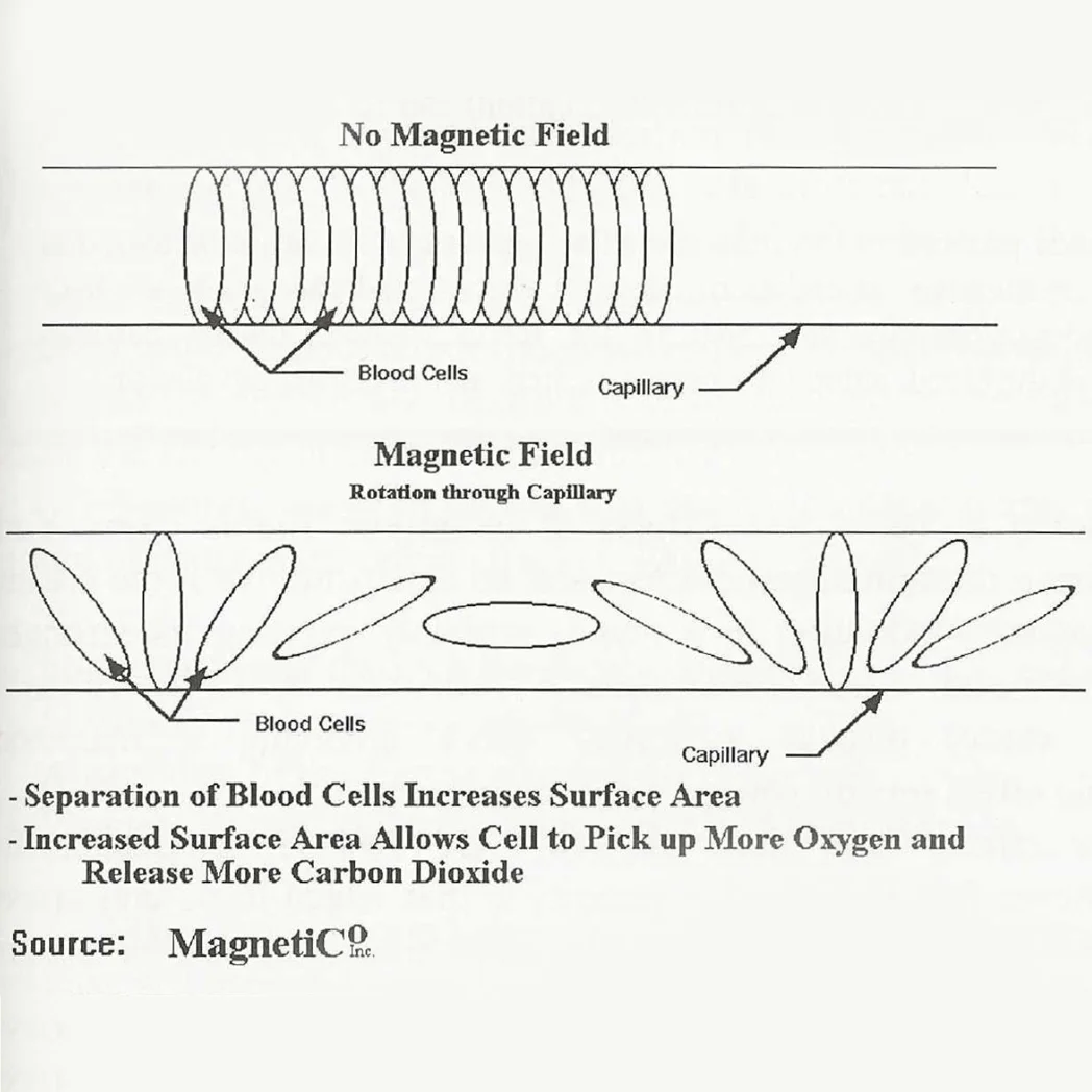 Diagram P.97 / Source: Magnetico Inc.