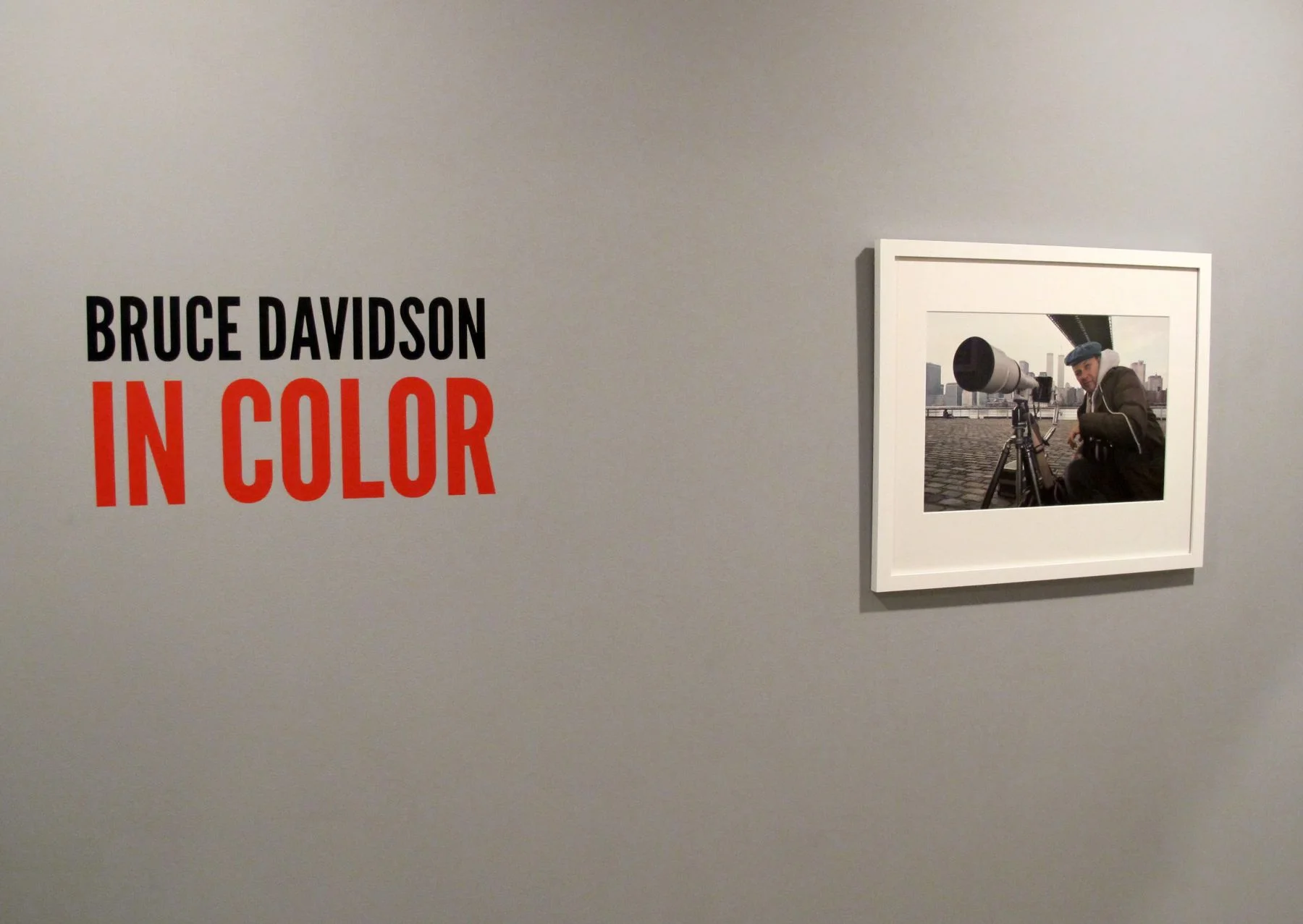 Bruce Davidson In Color at the Howard Greenberg Gallery, 2014