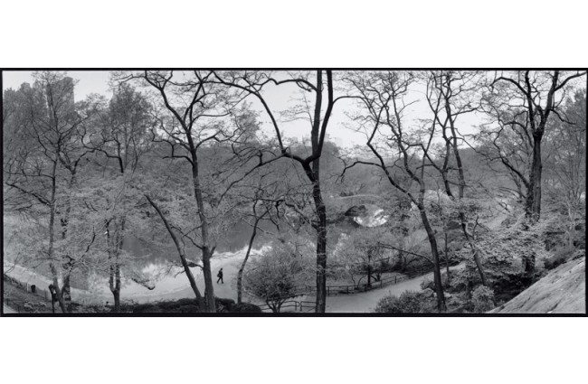 The Pond & Gapstow Bridge, 1992 by Bruce Davidson. Available from Aperture .