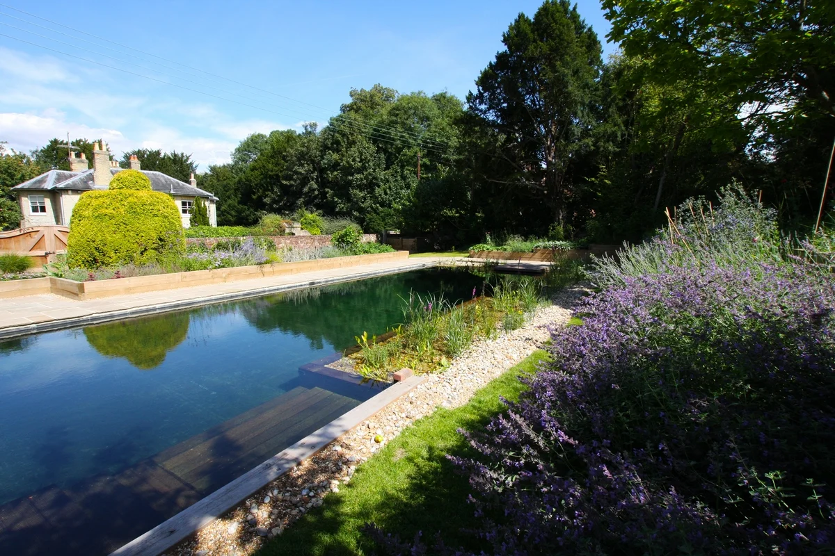 Clear_Water_Revival_Natural_Pool.jpg