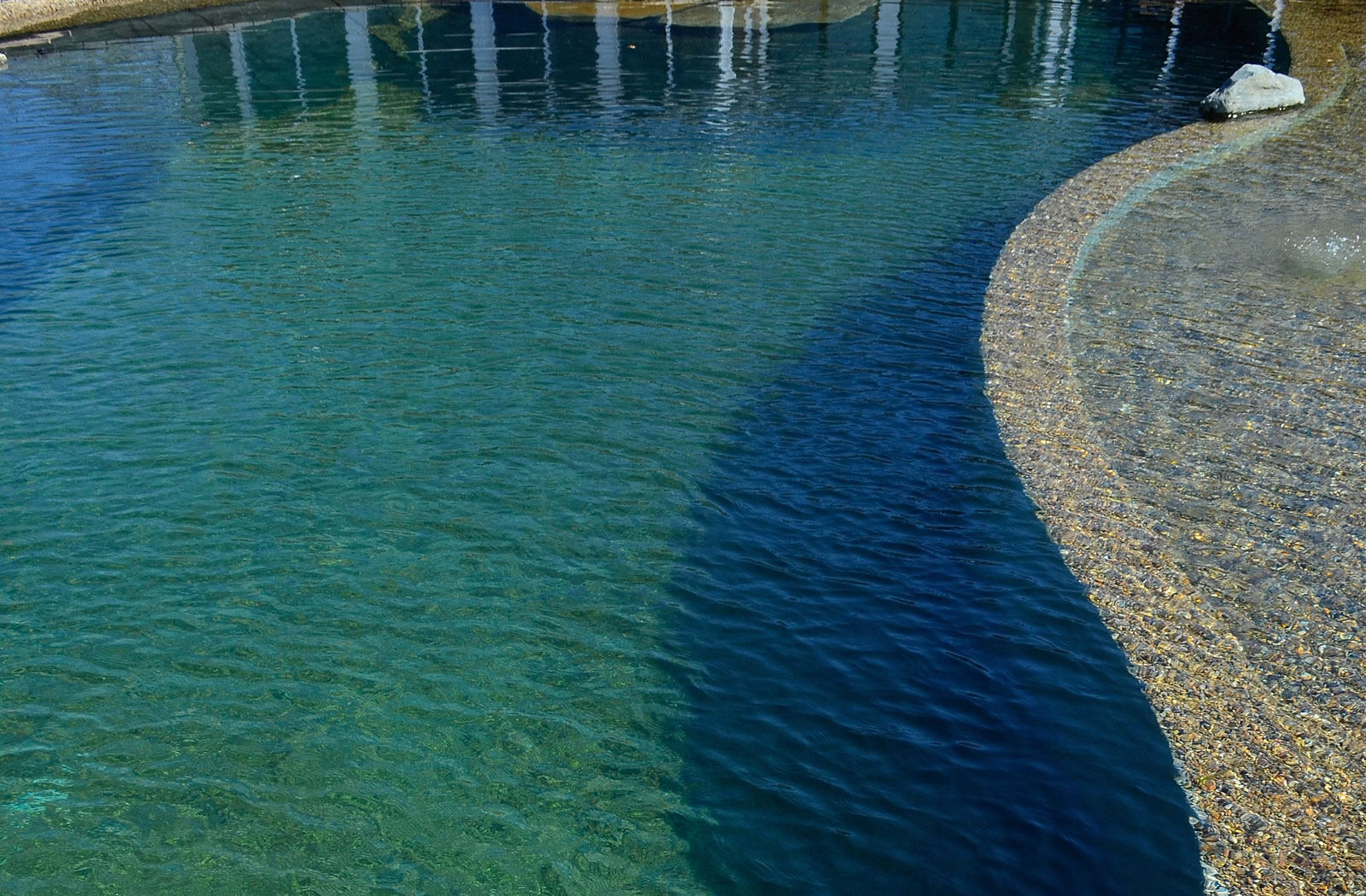 Natural Swimming Pools — Whiting Construction