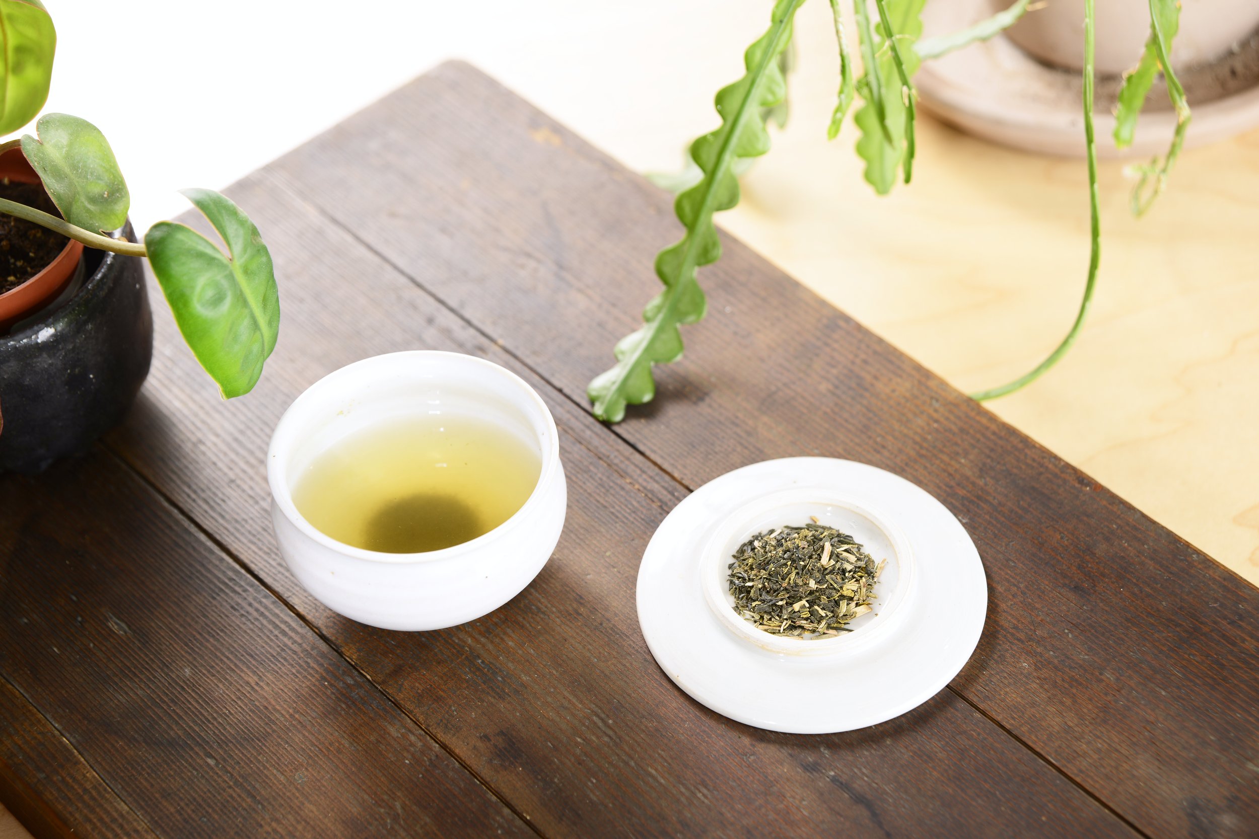 HACO SELECTION 010.JPG