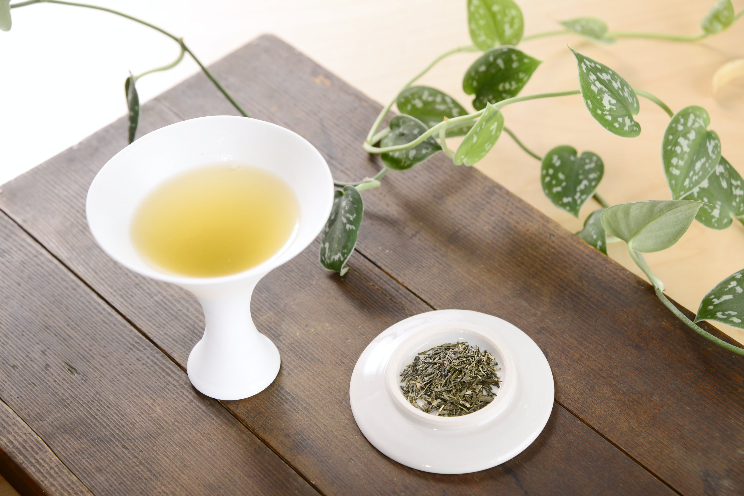 HACO SELECTION 013 (1).JPG