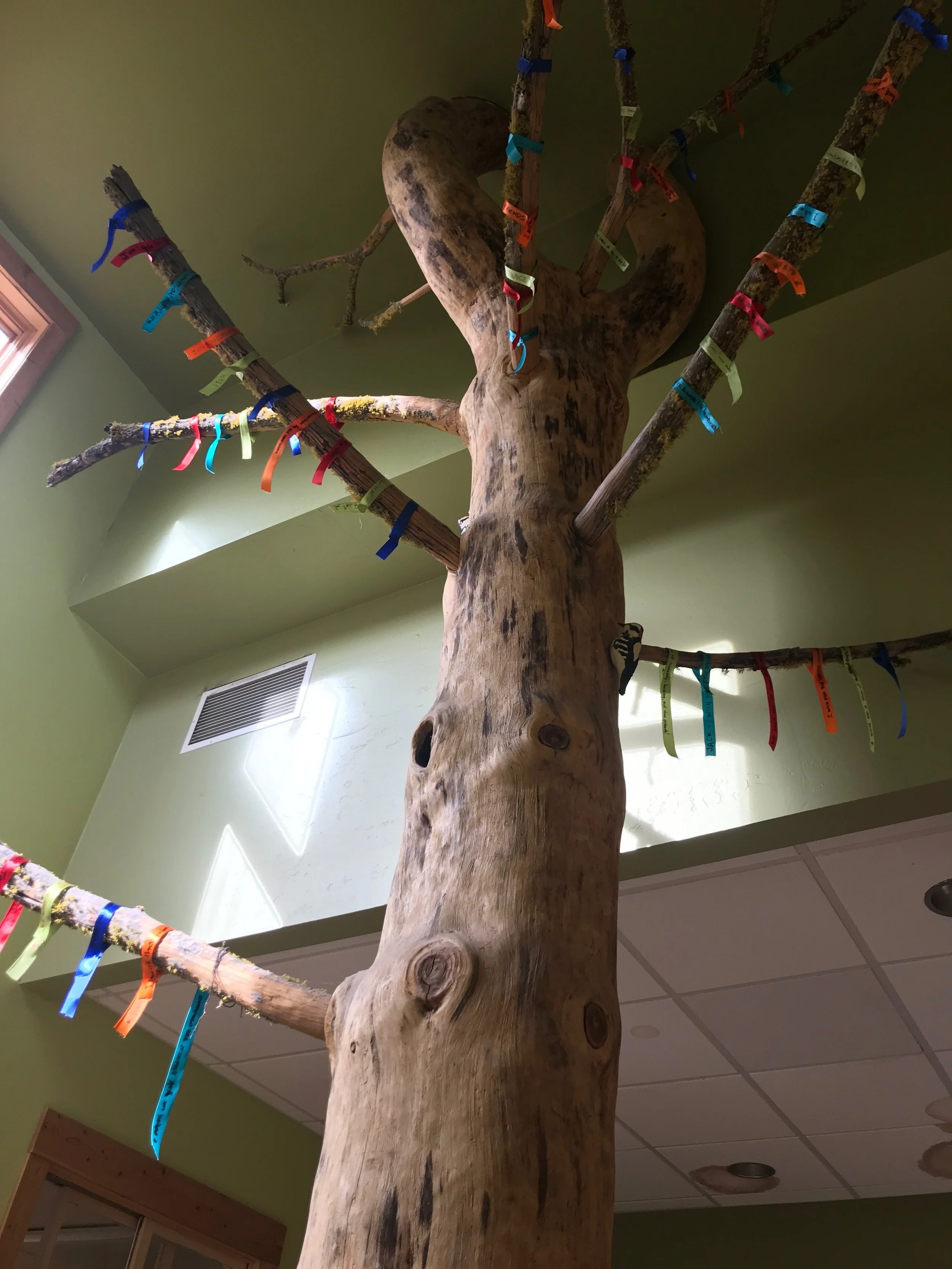 wishingtree after.jpeg