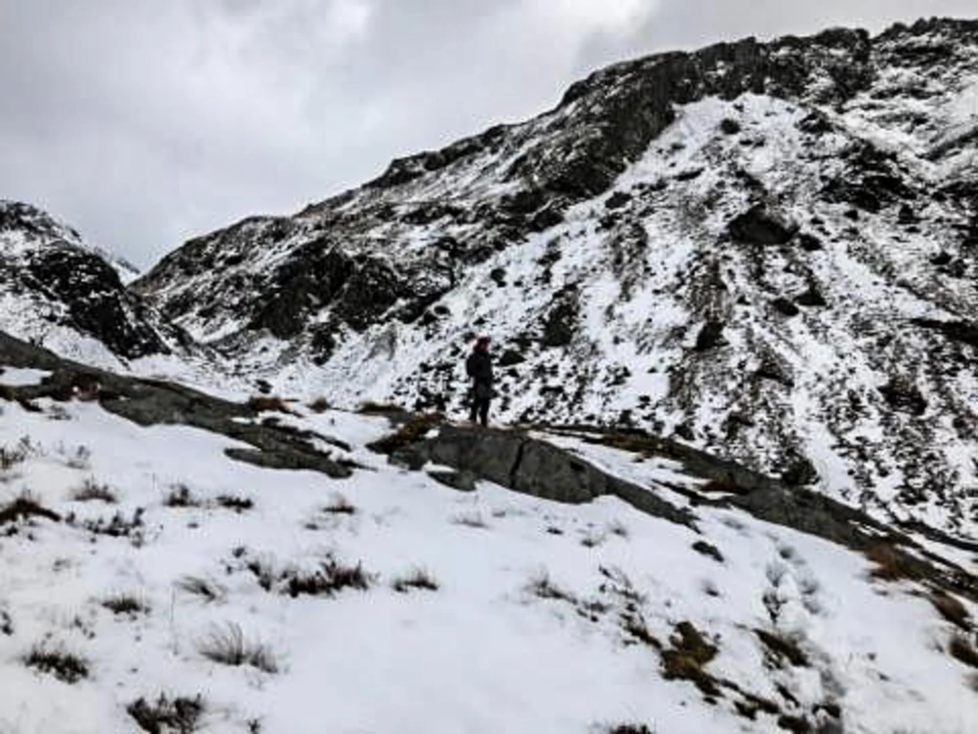 20190318-54379036_485976578889264_4758699656593014784_n.jpg