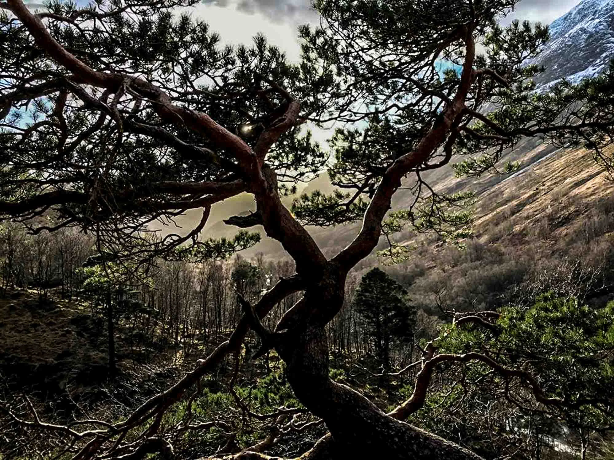 20190318-54257373_2071658532916351_9084928984453480448_n.jpg