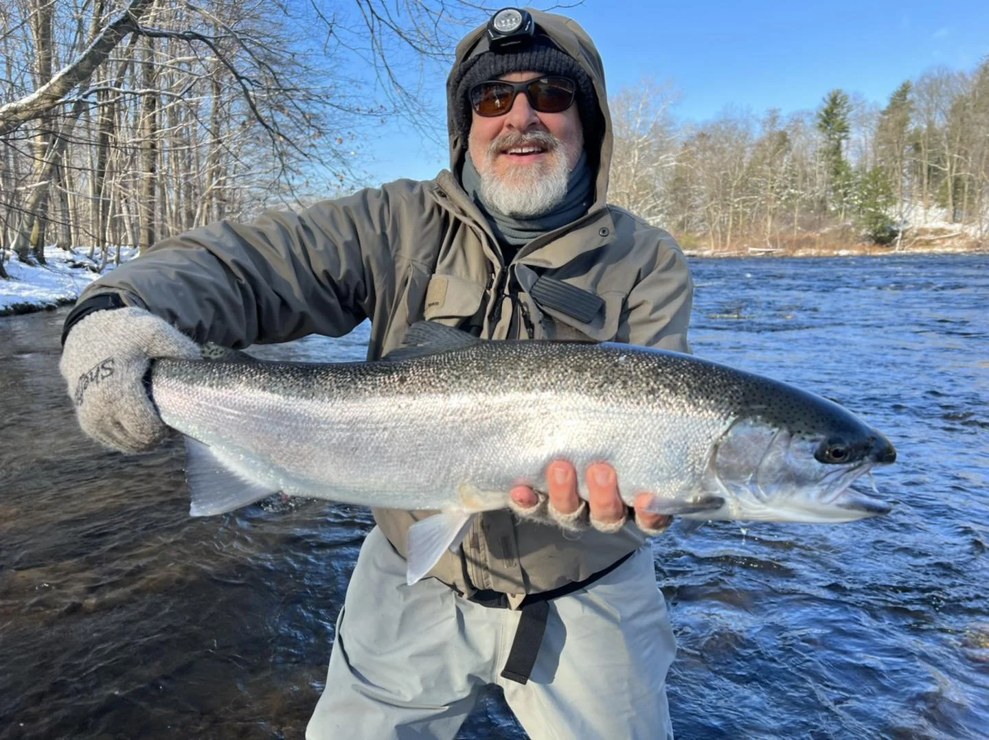 Steelhead!!!!! November & December 2022