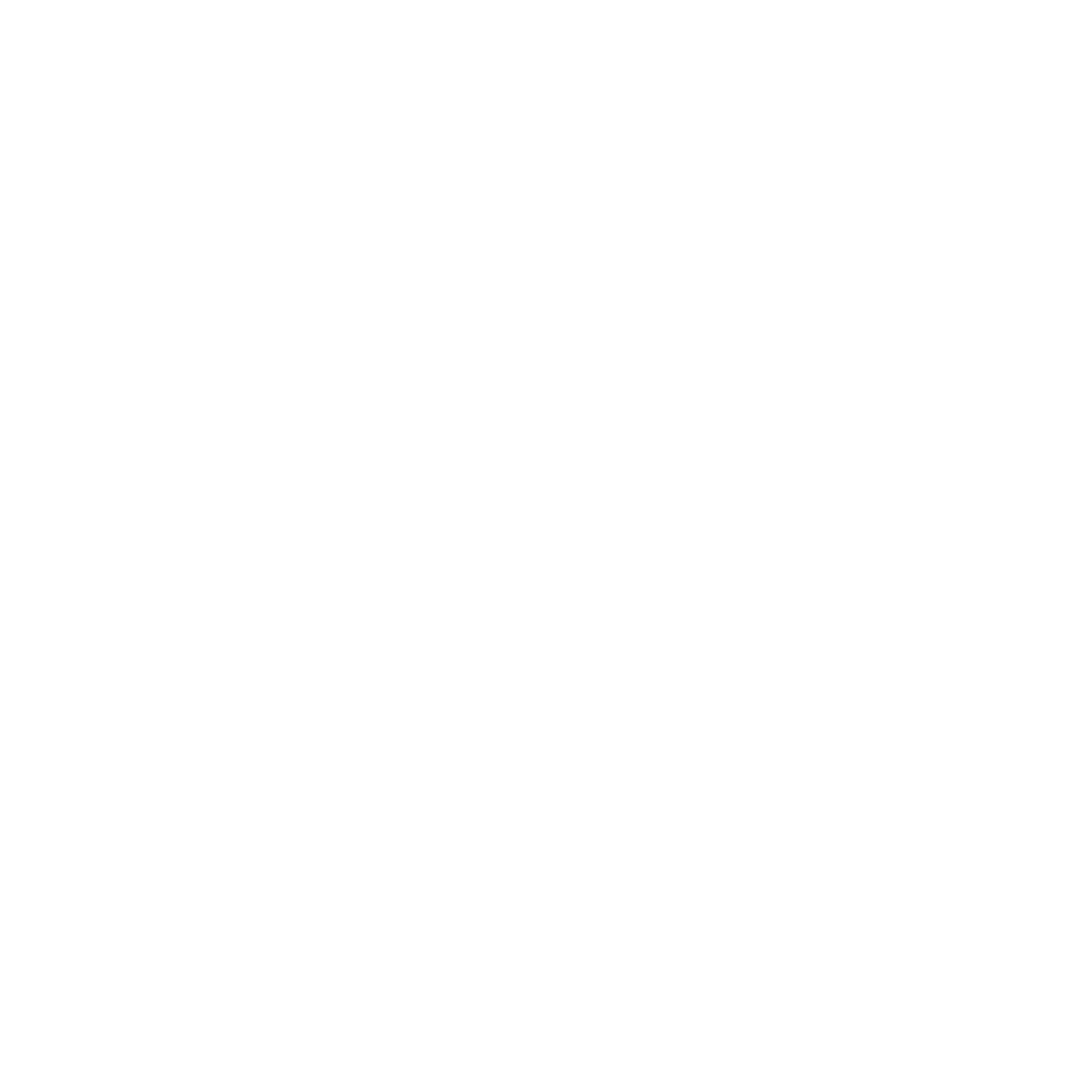 Brooklyn Youth Sports Club brooklyn-youth-sports-club